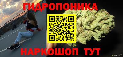 прущие крисы Кулебаки
