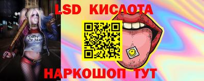 прущие крисы Кулебаки