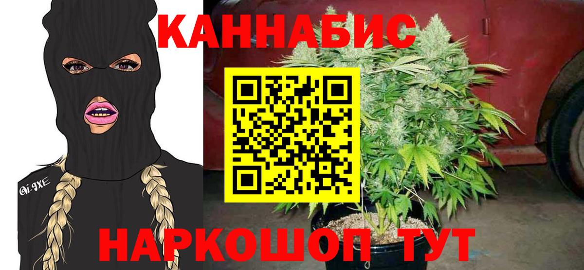 Зеленогорск  Бошки Шишки сатива  Вход с VPN  Бошки Шишки OG Kush  Канабис конопля 